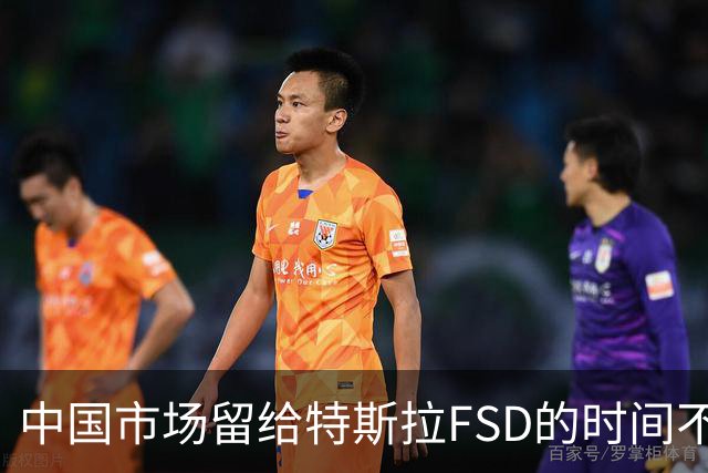 中国市场留给特斯拉FSD的时间不多了？